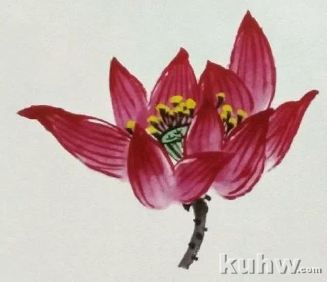 国画之荷花花头的没骨法画法,以及不同形态的荷花花头