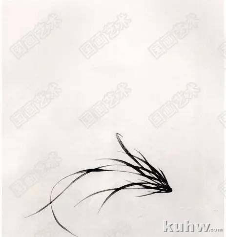怎么画兰花?国画水墨画兰花步骤示范画法图文教程详解!