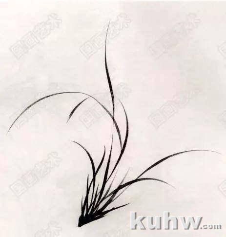 怎么画兰花?国画水墨画兰花步骤示范画法图文教程详解!