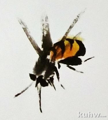 国画之蜜蜂的画法，以及不同形态的蜜蜂画法