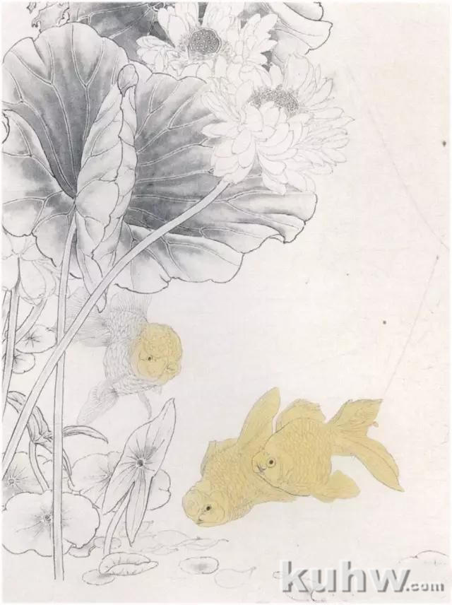 画友之家-技法篇-工笔金鱼白描、设色步骤讲解，给力！