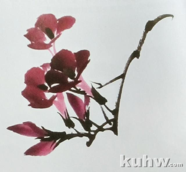 国画之整枝牵牛花的画法,以及牵牛花的多种形态画法