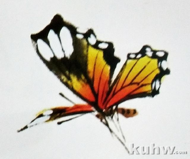 画蝴蝶的步骤，以及姿态各异的蝴蝶画法