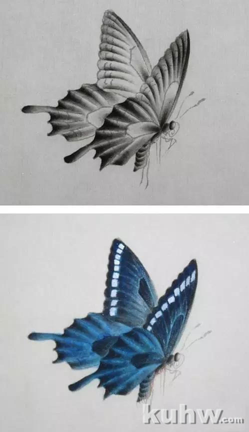 蝴蝶工笔技法步骤