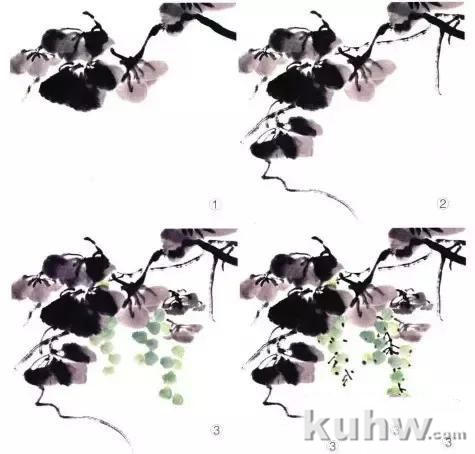 写意藤蔓植物画法教程 藤蔓,叶的组合画法,牵牛花扁豆紫藤凌霄葫芦丝瓜葡萄南瓜的写意画法