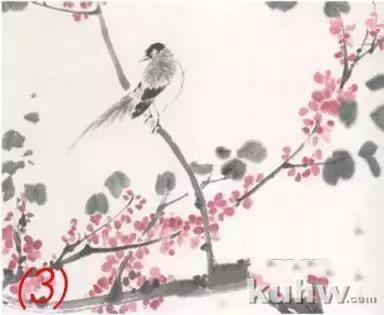 花鸟画图文教程:花鸟小品的各种画法,花鸟画基本技法分解