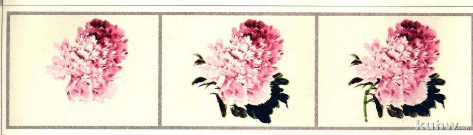 国画牡丹花头的画法 国画牡丹花头的画法