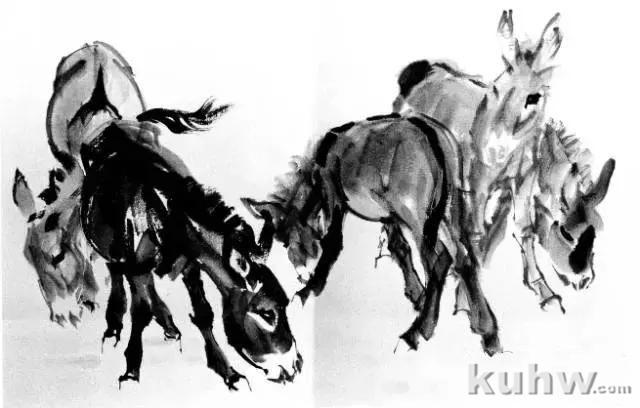 教你怎样画毛驴,小毛驴简单画法画法,国画写意毛驴的画法和步骤图解