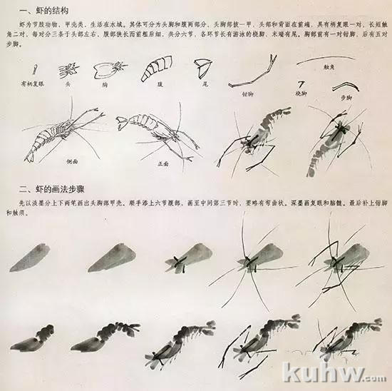 国画花鸟技法:几种虫儿的画法