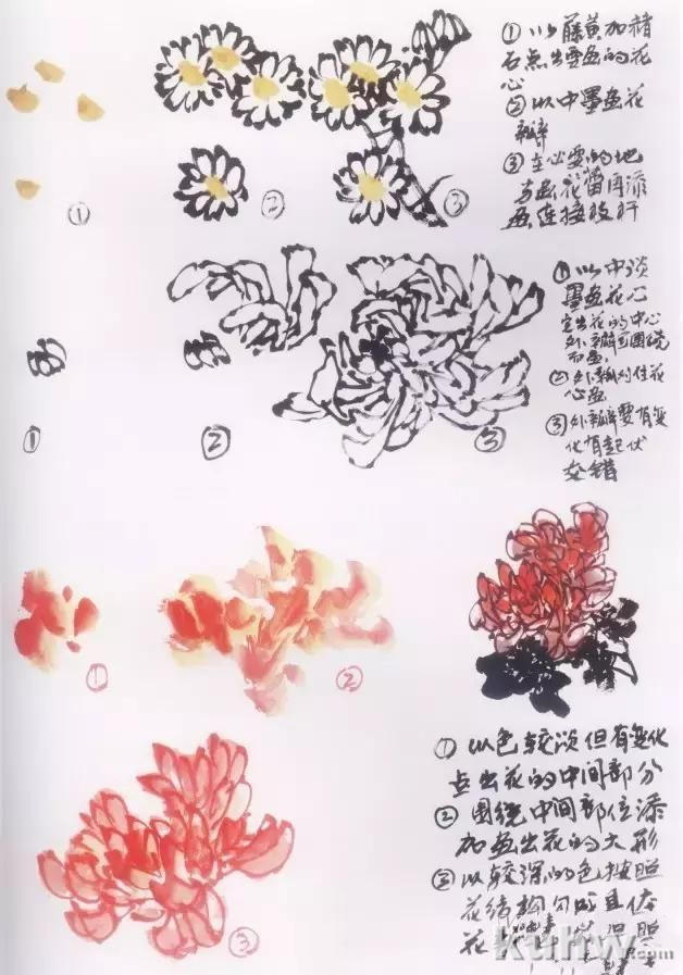 写意画菊花的画法教程