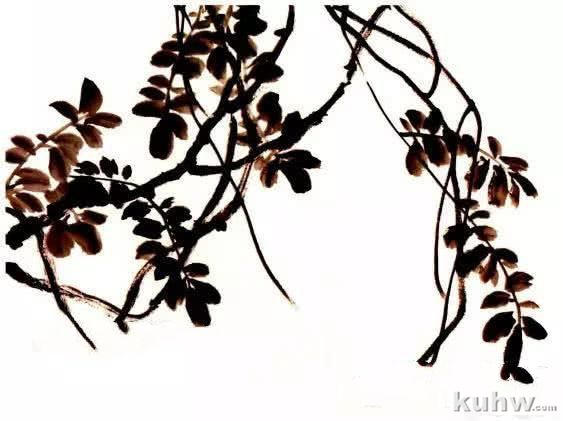 怎么画紫藤,写意紫藤的画法与步骤图