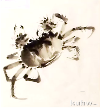 国画写意螃蟹的画法视频