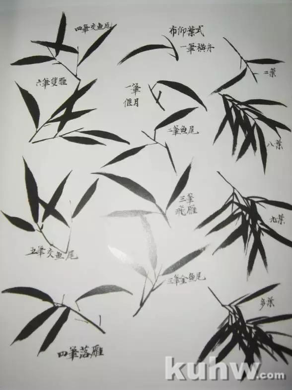 学习画竹,太全面了