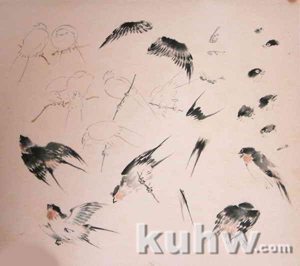 王雪涛花鸟画手稿：燕子的画法