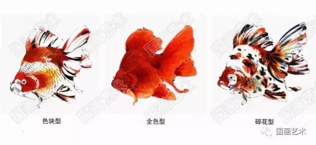 国画扇面金鱼画法图文教程，金鱼的画法技巧步骤，水草的画法