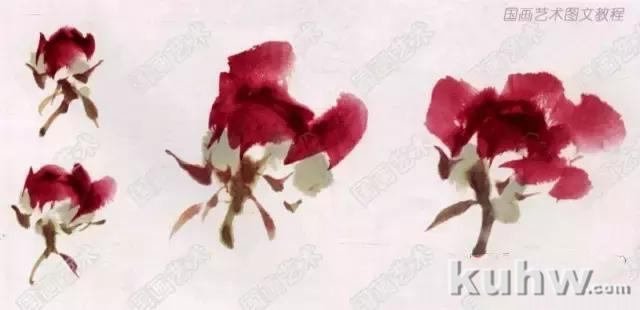 图文教程:写意牡丹玉兰画法解析