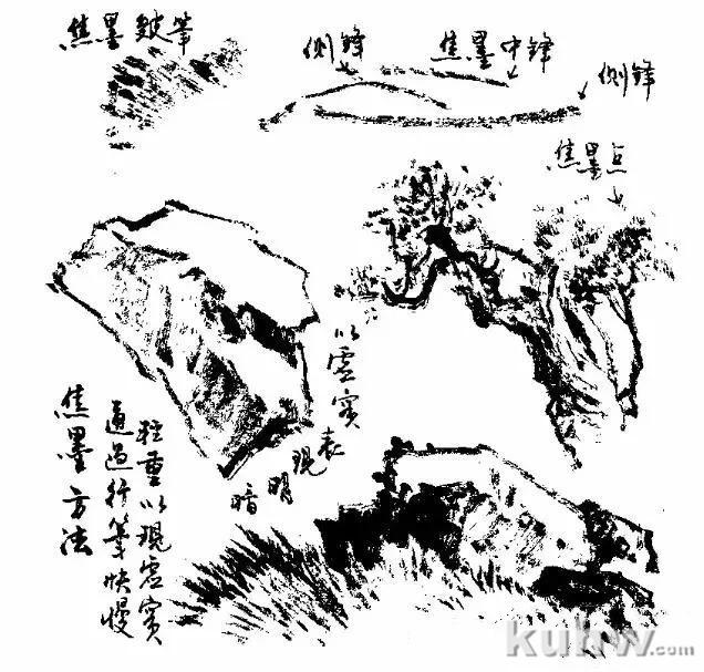 写意花鸟用墨技法详解!