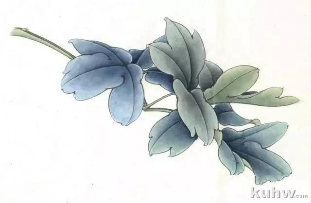 画友之家-技法篇-工笔柿子和牡丹画法大集合，快快收藏！