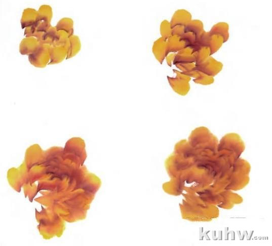 国画牡丹技法：6种颜色牡丹的画法