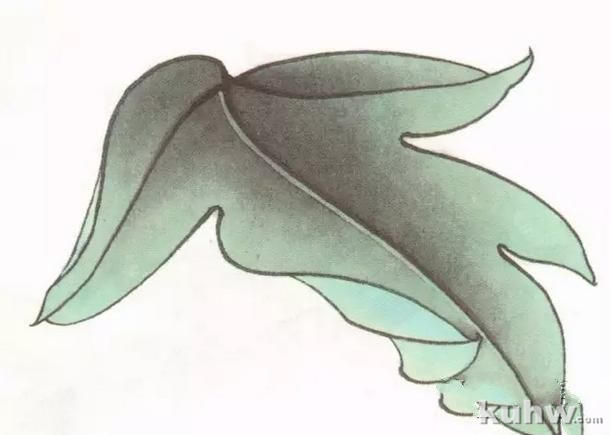 图文教程：工笔牡丹叶子着色方法