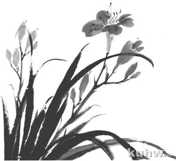 兰花画法示范