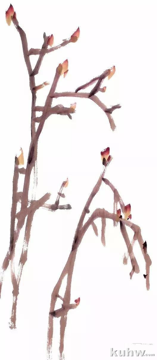 教你如何画彩墨牡丹