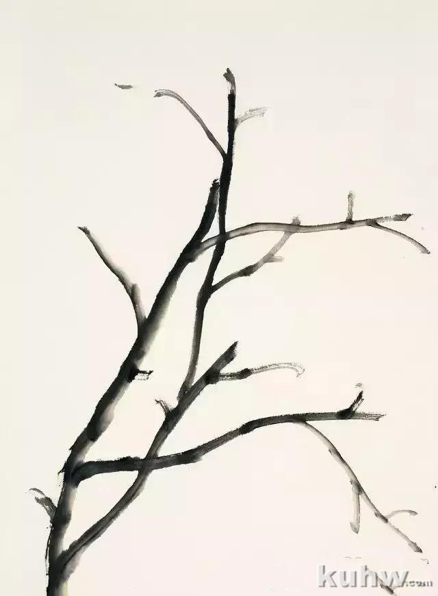 花卉的多种画法