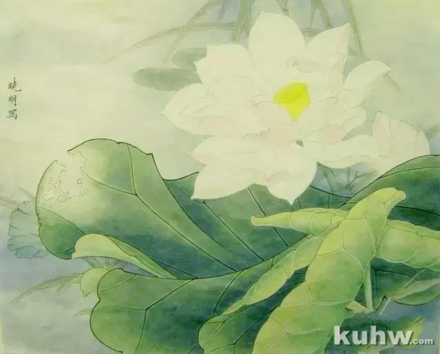 李晓明《荷花蜜蜂图》设色步骤与技法