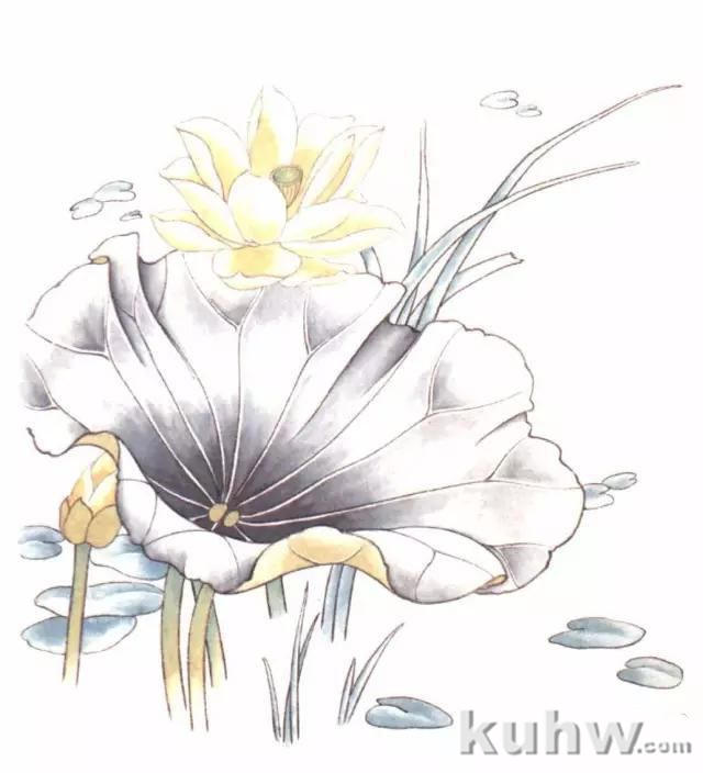 画友之家-技法篇-工笔花卉白描、工具及设色步骤,太全啦!