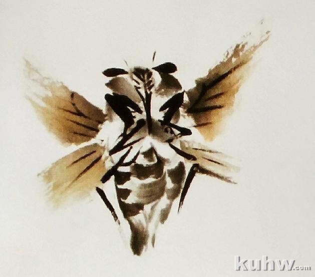 国画花鸟画之蝉的画法，以及各种形态的蝉的画法