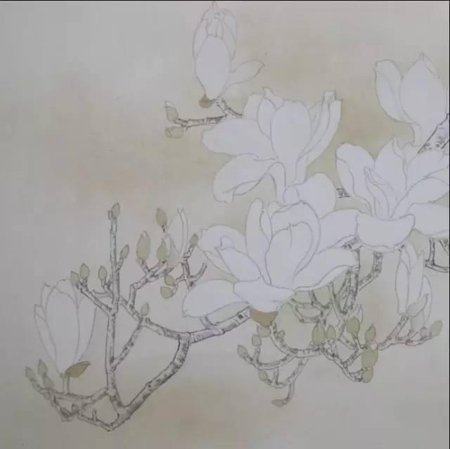 玉兰花绘画教程,真不错!