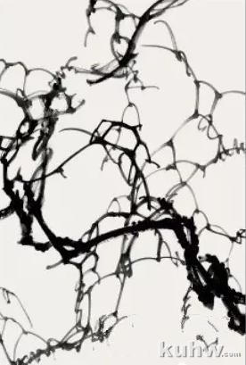 图文教程：葡萄的画法（四）