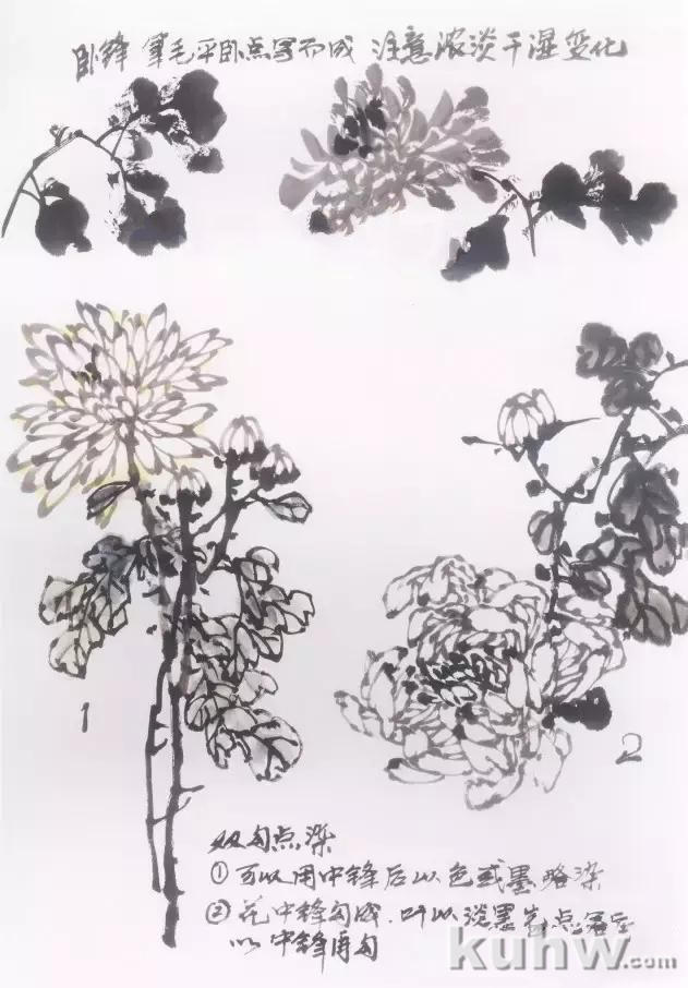 写意画菊花的画法教程