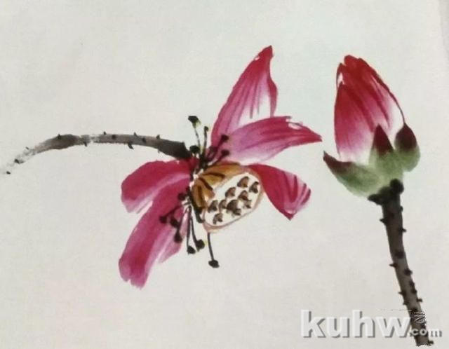 国画之荷花花头的没骨法画法,以及不同形态的荷花花头