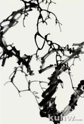 图文教程：葡萄的画法（四）