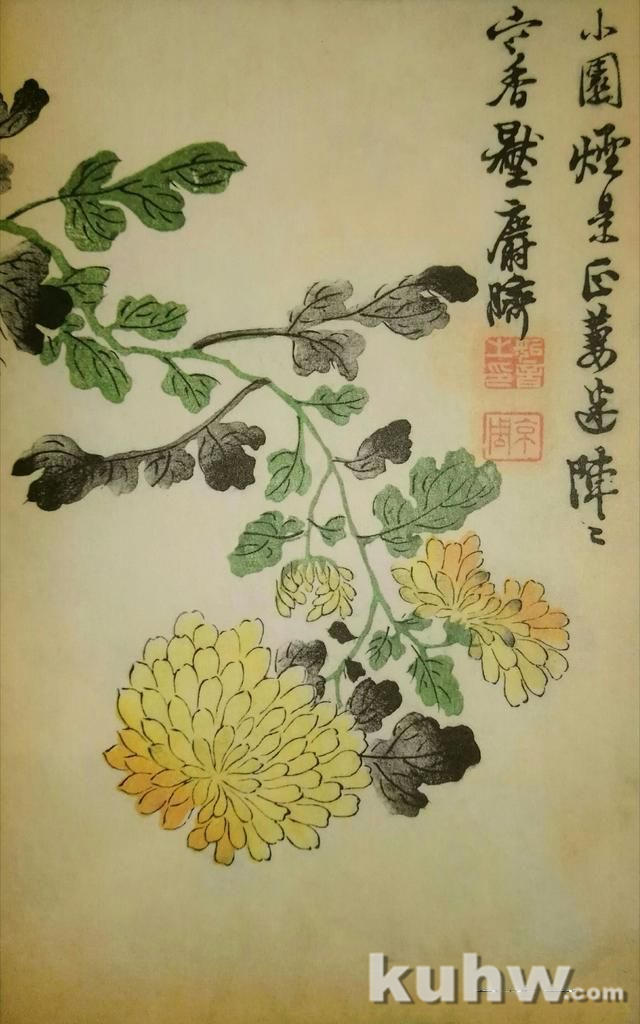 清前名家26种墨菊搭配技法之四,简单易学+21幅示范图