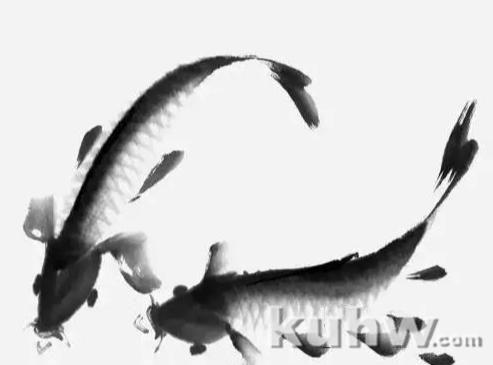 适合初学者的写意鲤鱼画法详解