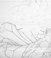 李晓明工笔《荷花蜜蜂图》绘画步骤与技法