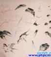 王雪涛花鸟画手稿：燕子的画法