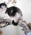 中国画猫的画法