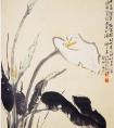 国画马蹄莲作品画法欣赏