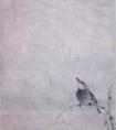 荷塘翠鸟的画法