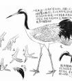 孙其峰《花鸟画谱》：鹤的画法
