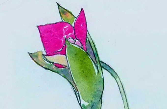 如何绘制花朵与水彩图一步tutorial1吗