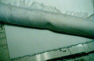 水彩树第三课的照片 水彩树第3课