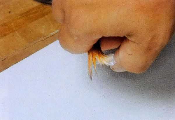 使用留白胶的水彩画留白技法，插图五