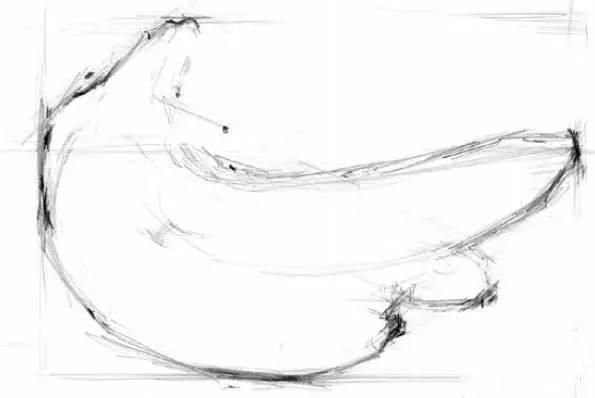 素描解刨学角度教你画一个苹果一把香蕉