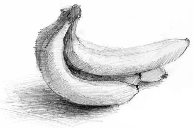 素描解刨学角度教你画一个苹果一把香蕉