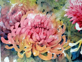 花绘画教程14照片 花绘画教程14