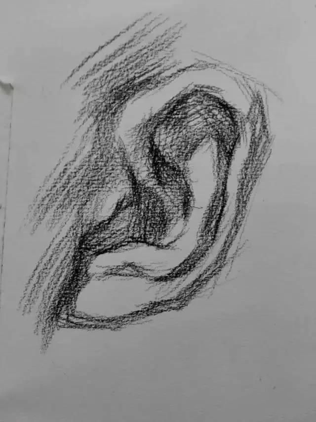 素描教程：耳朵